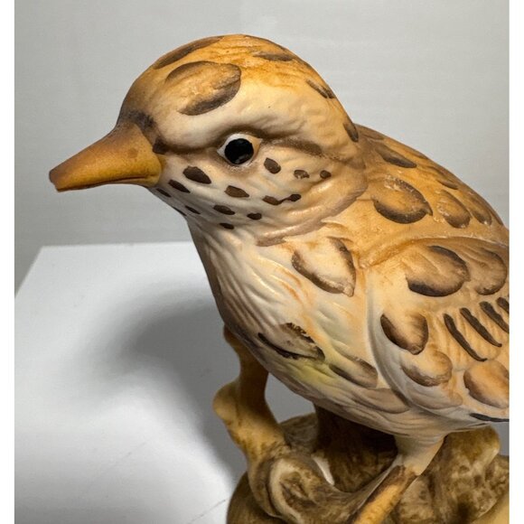 Mistle Thrush Bird Figurine by Maruri Lovely 5 inch READ - Picture 3 of 7